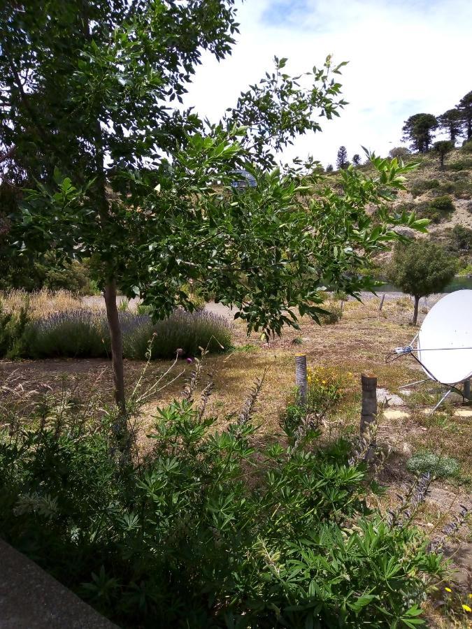 La Berendina Otel Huechulafquen Lake Dış mekan fotoğraf